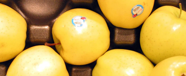 Żółte jabłka z widocznymi naklejonymi etykietami, leżące na wytłaczance.